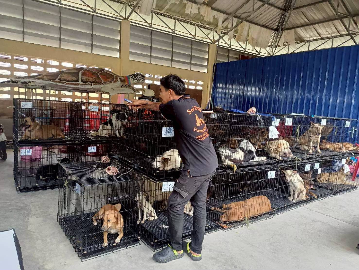 อบต.ลำภี ร่วมกับมูลนิธิเพื่อสุนัขในซอย (Soi Dog Foundation) ให้บริการ ออกหน่วยบริการทำหมัน"สุนัข" พร้อมฉีดวัคซีนรวมและวัคซีนป้องกันโรคพิษสุนัขบ้า